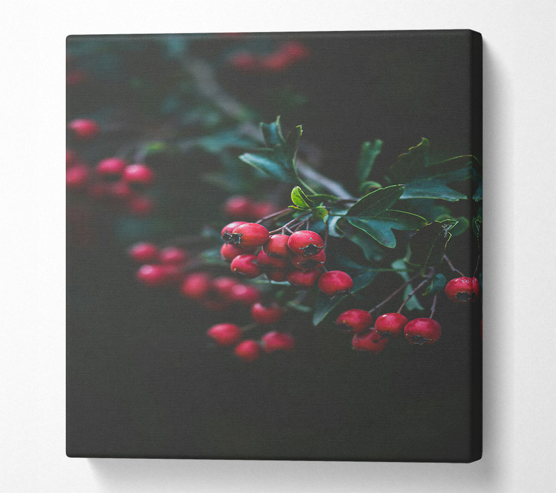  A Canvas Print of Crimson Berries' Bloom Canvas Print