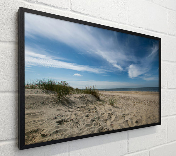Blue Sky Beach Dunes