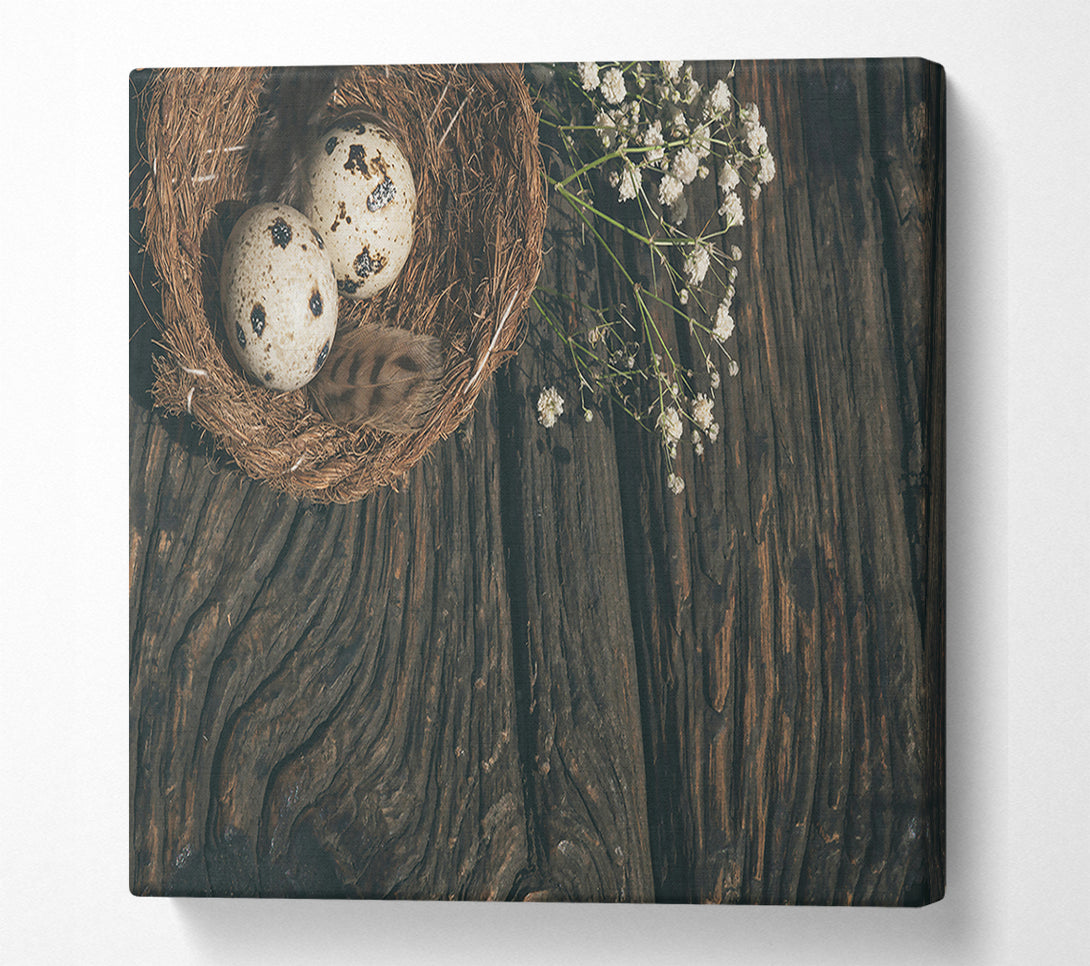  A Canvas Print of Brown Nestled Quail Eggs Canvas Print