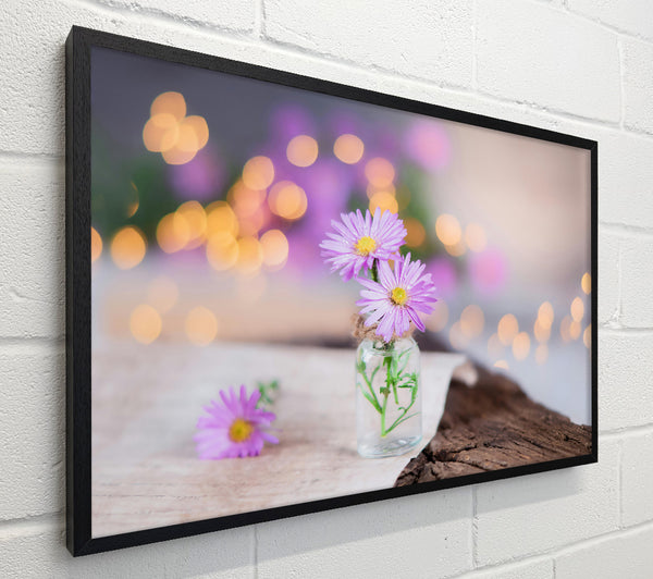 Lavender Light Blooms