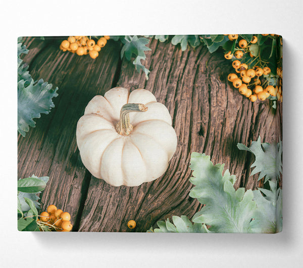  A Canvas Print of White Pumpkin Harvest Canvas Art