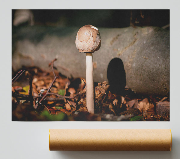 Tan Mushroom Solitude Poster