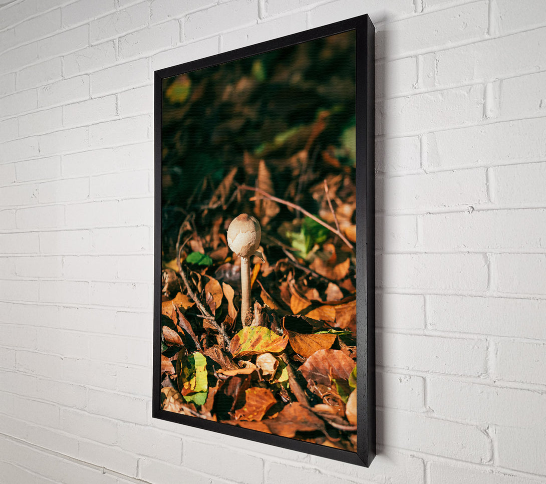  A Canvas Print of Brown Mushroom Dreams Canvas Print