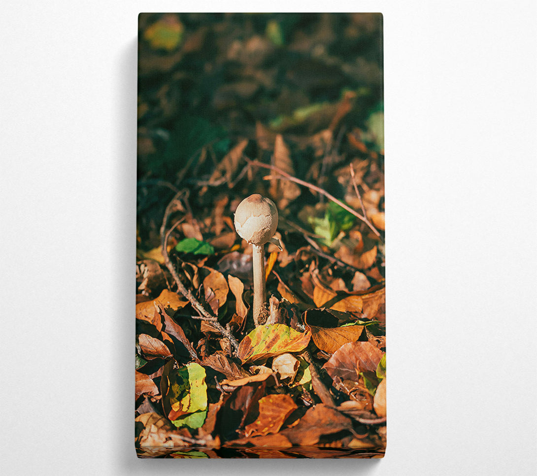  A Canvas Print of Brown Mushroom Dreams Canvas Print
