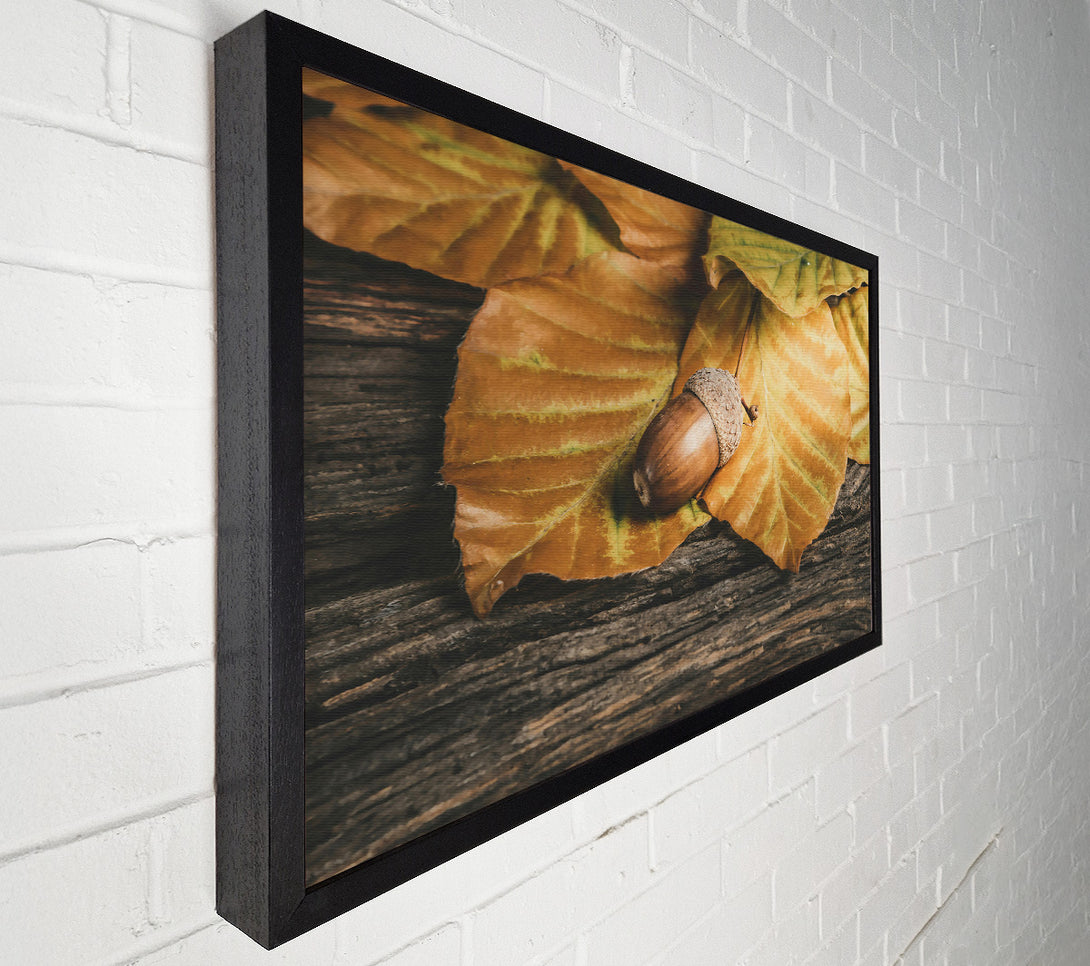  A Canvas Print of Golden Acorn Autumn Canvas Art