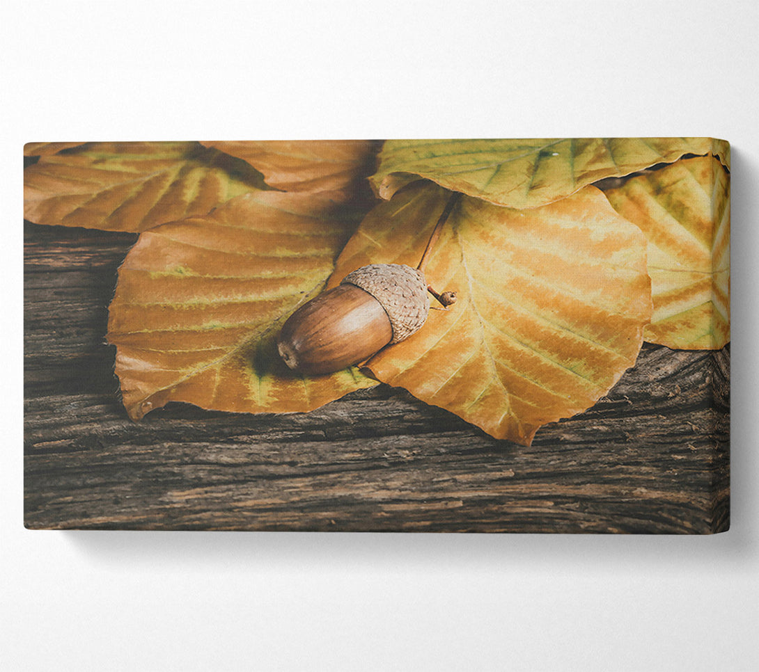  A Canvas Print of Golden Acorn Autumn Canvas Art