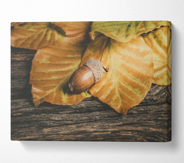  A Canvas Print of Golden Acorn Autumn Canvas Art