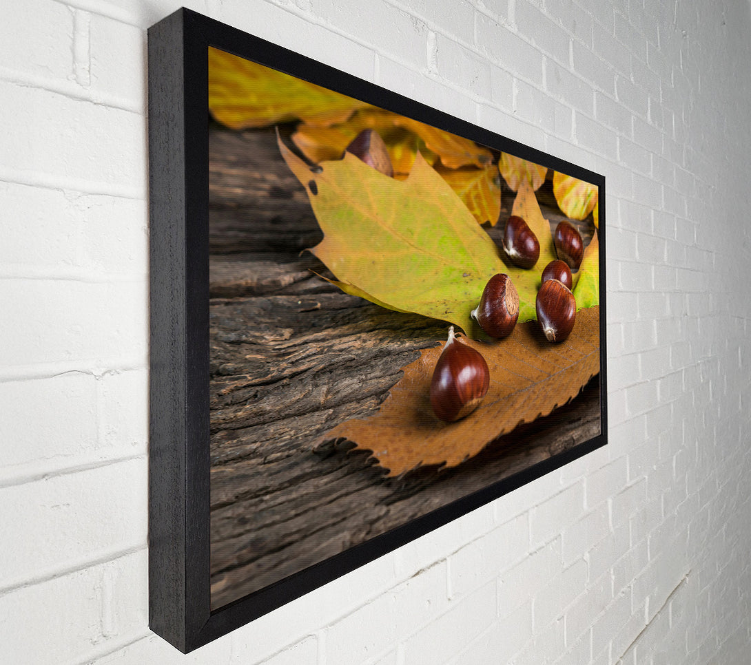  A Canvas Print of Brown Autumn Treasures Canvas Wall Art