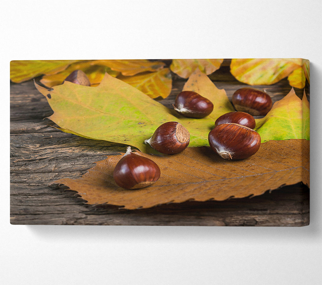  A Canvas Print of Brown Autumn Treasures Canvas Wall Art