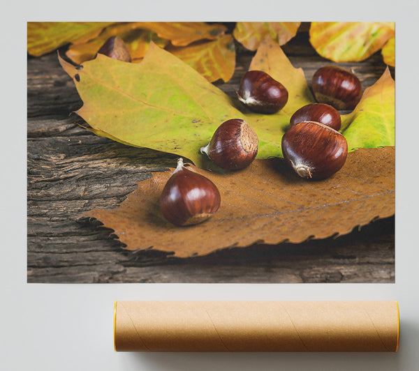 Brown Autumn Treasures Poster