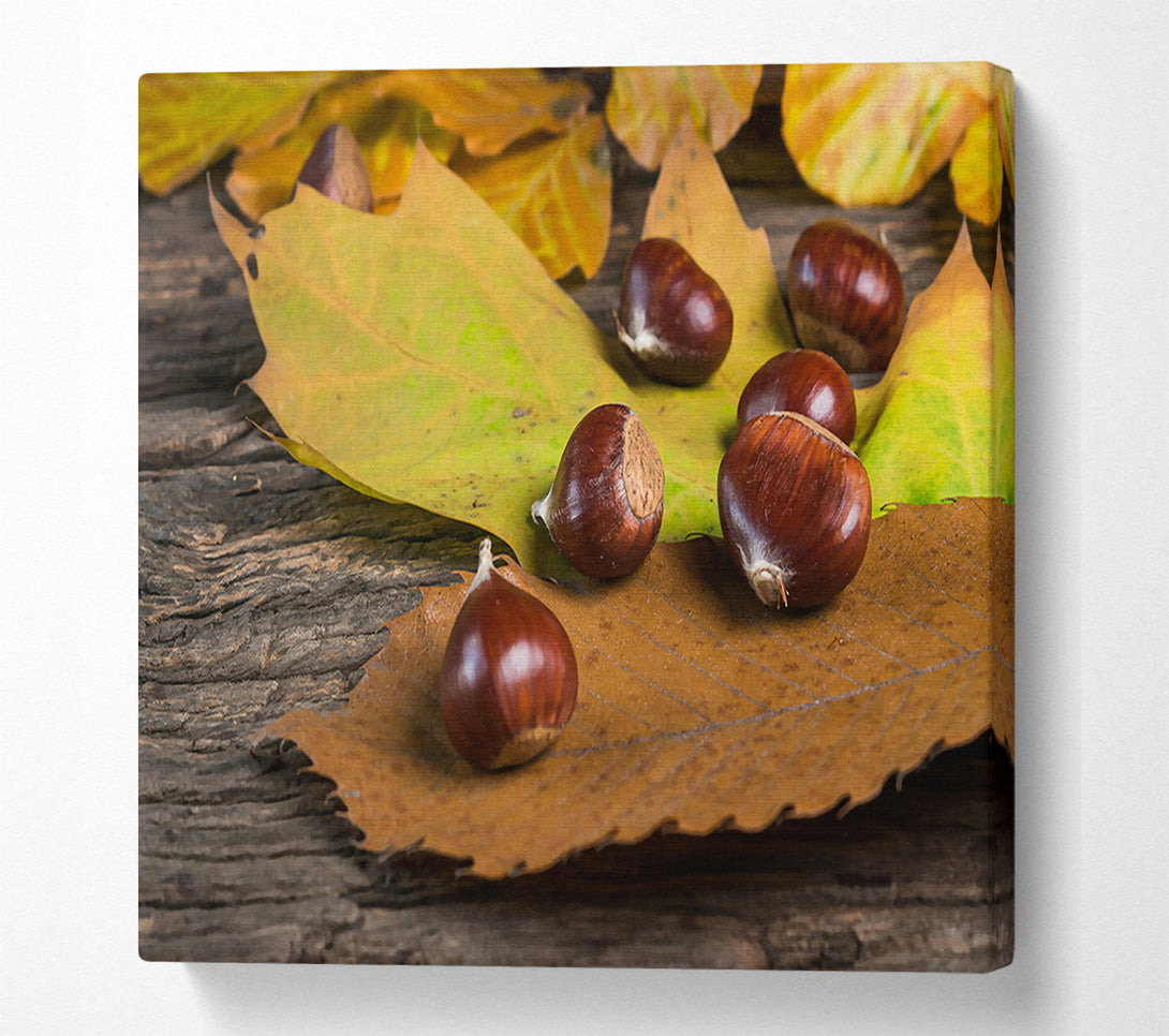  A Canvas Print of Brown Autumn Treasures Canvas Wall Art