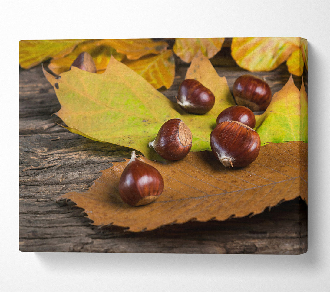  A Canvas Print of Brown Autumn Treasures Canvas Wall Art