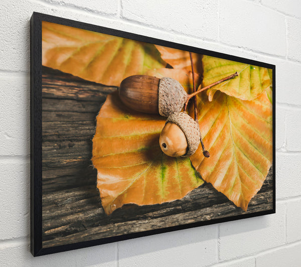 Golden Acorn Trio