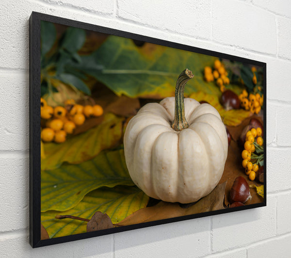Creamy Fall Pumpkin