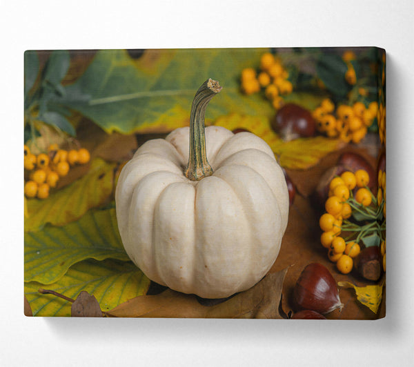  A Canvas Print of Creamy Fall Pumpkin Canvas Print
