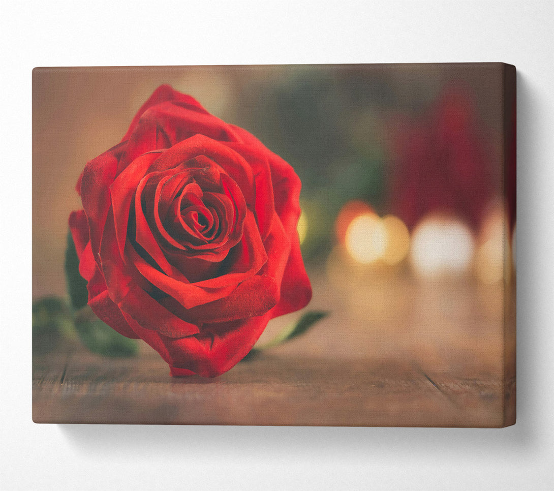  A Canvas Print of Crimson Rose Bloom Canvas Print