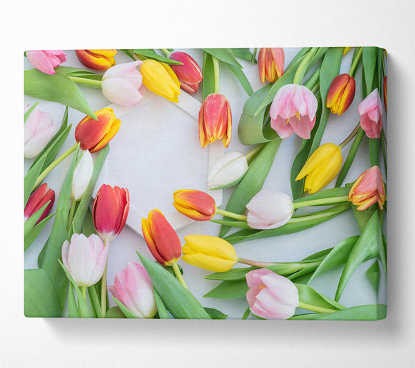  A Canvas Print of Pink Tulips Bloom Canvas Print