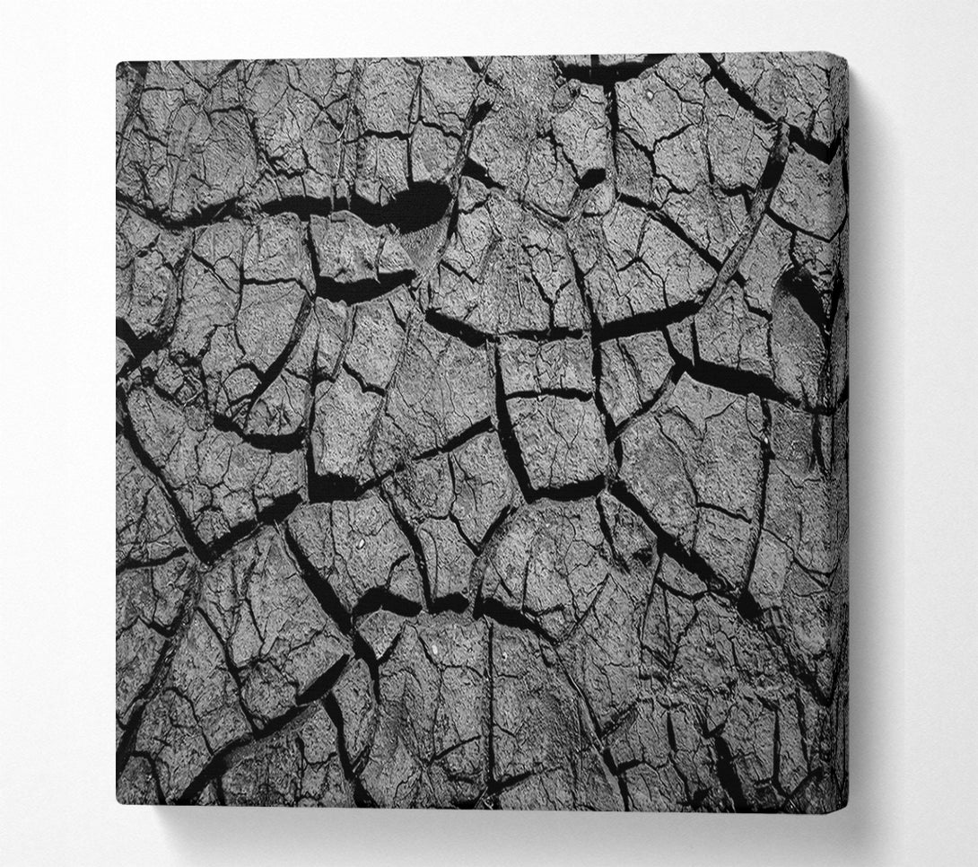 A Canvas Print of Black Cracked Earth Canvas Wall Art