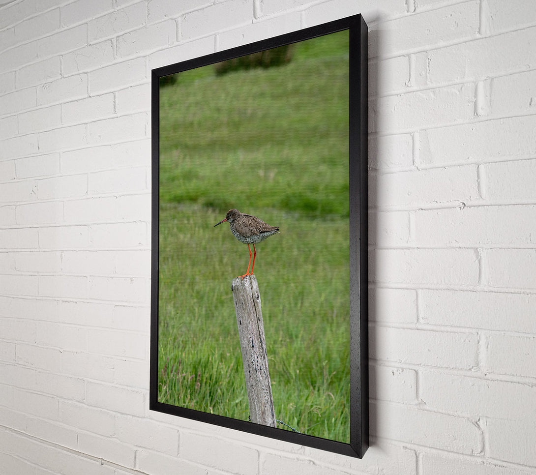  A Canvas Print of Green Field Watch Canvas Wall Art