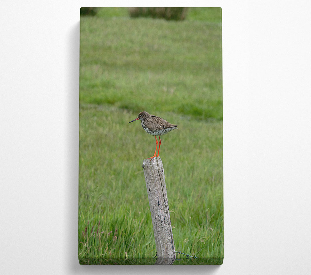  A Canvas Print of Green Field Watch Canvas Wall Art