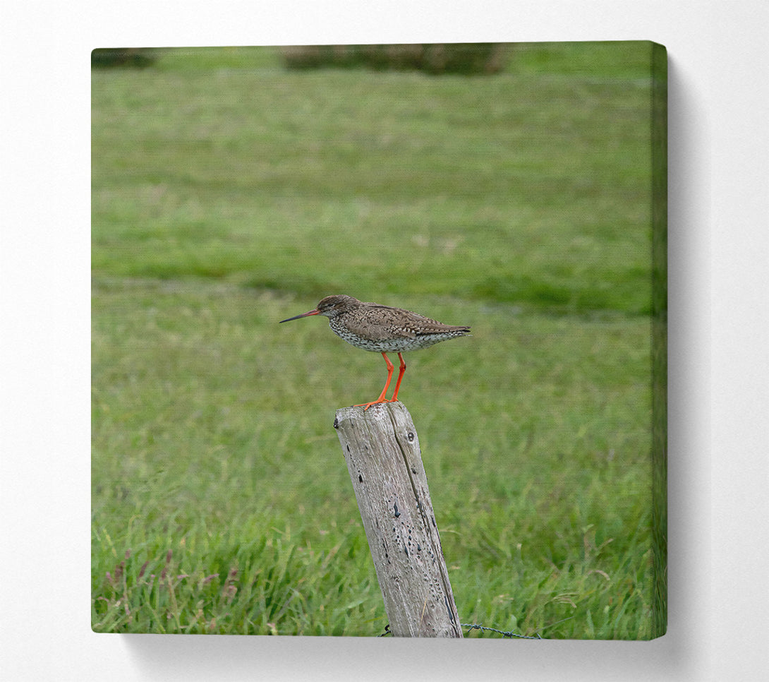 A Canvas Print of Green Field Watch Canvas Wall Art