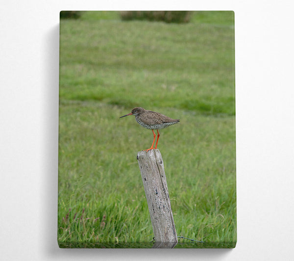  A Canvas Print of Green Field Watch Canvas Wall Art
