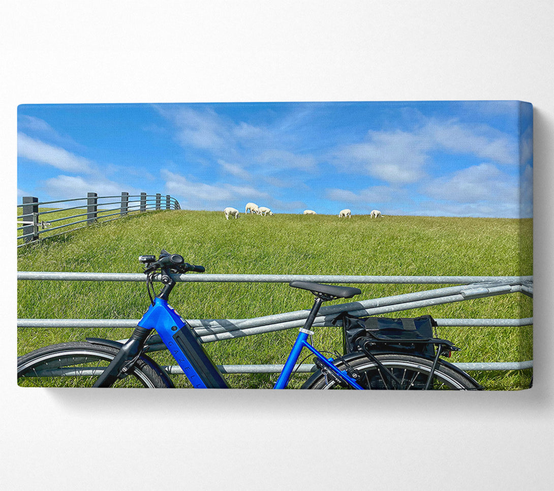  A Canvas Print of Blue Bike And Sheep Canvas Wall Art