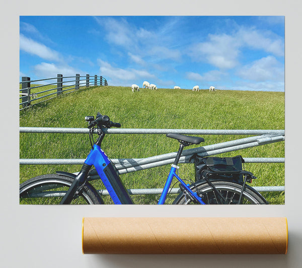 Blue Bike And Sheep Poster