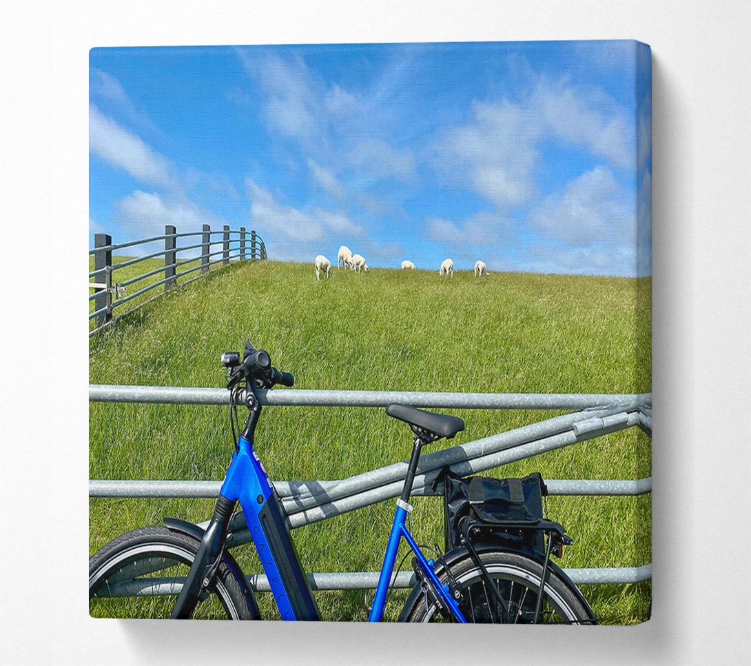  A Canvas Print of Blue Bike And Sheep Canvas Wall Art