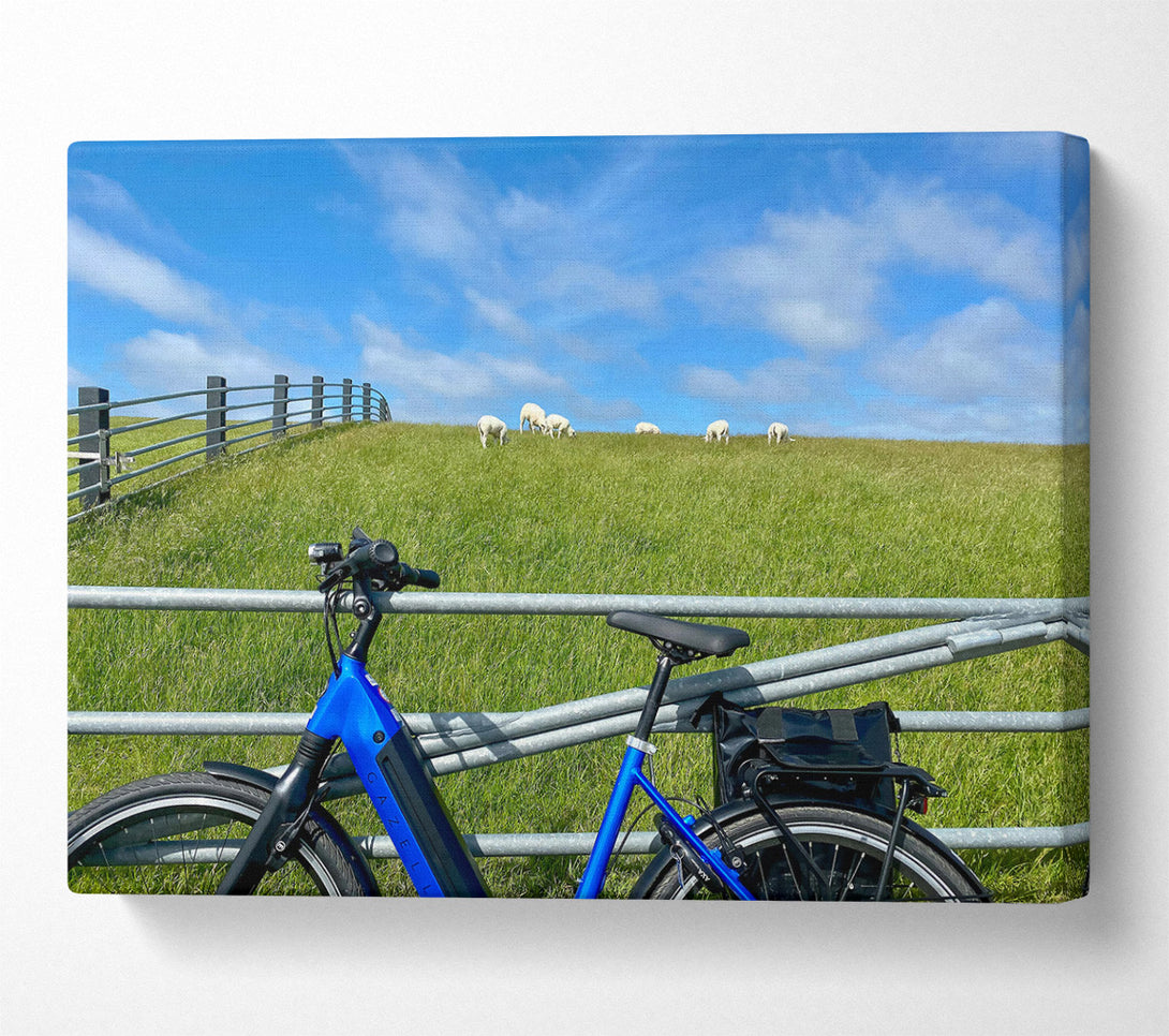  A Canvas Print of Blue Bike And Sheep Canvas Wall Art