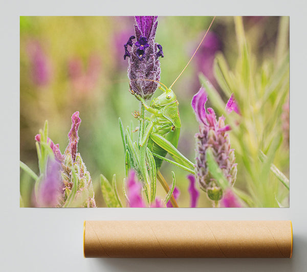 Purple And Green Harmony Giclee Print