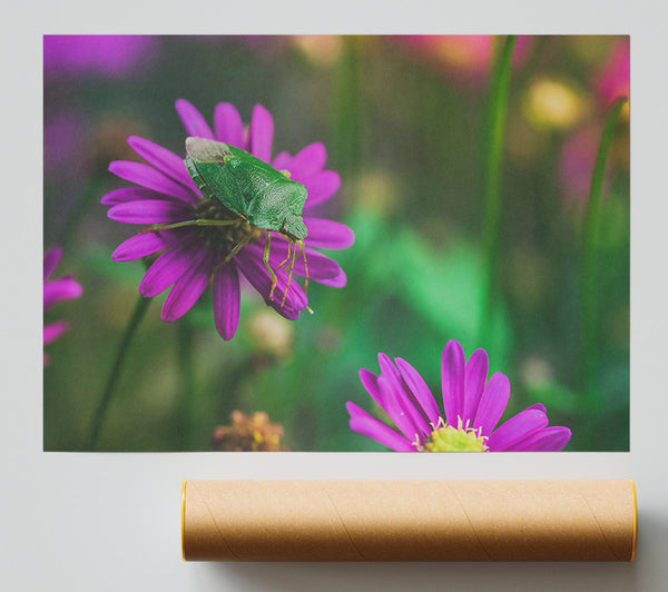 Purple Bloom And Bug Print