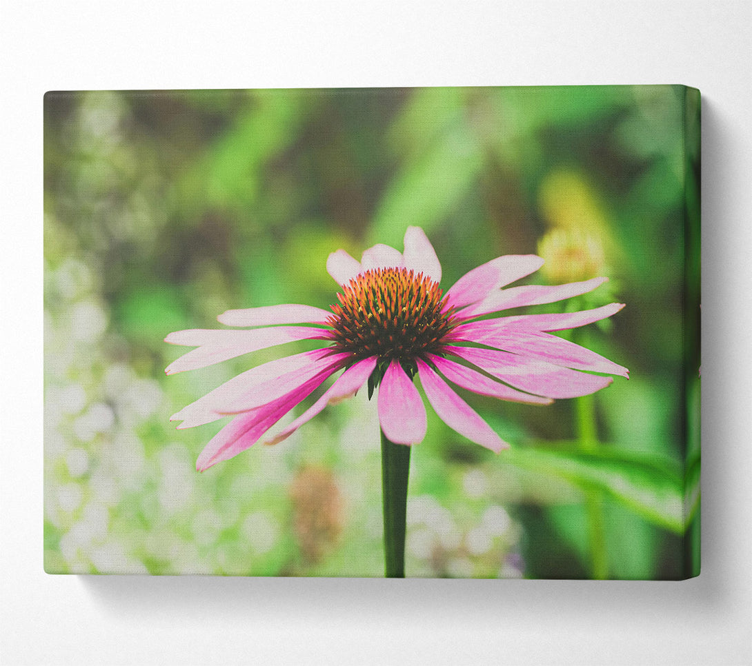  A Canvas Print of Pink Flower Bloom Canvas Art