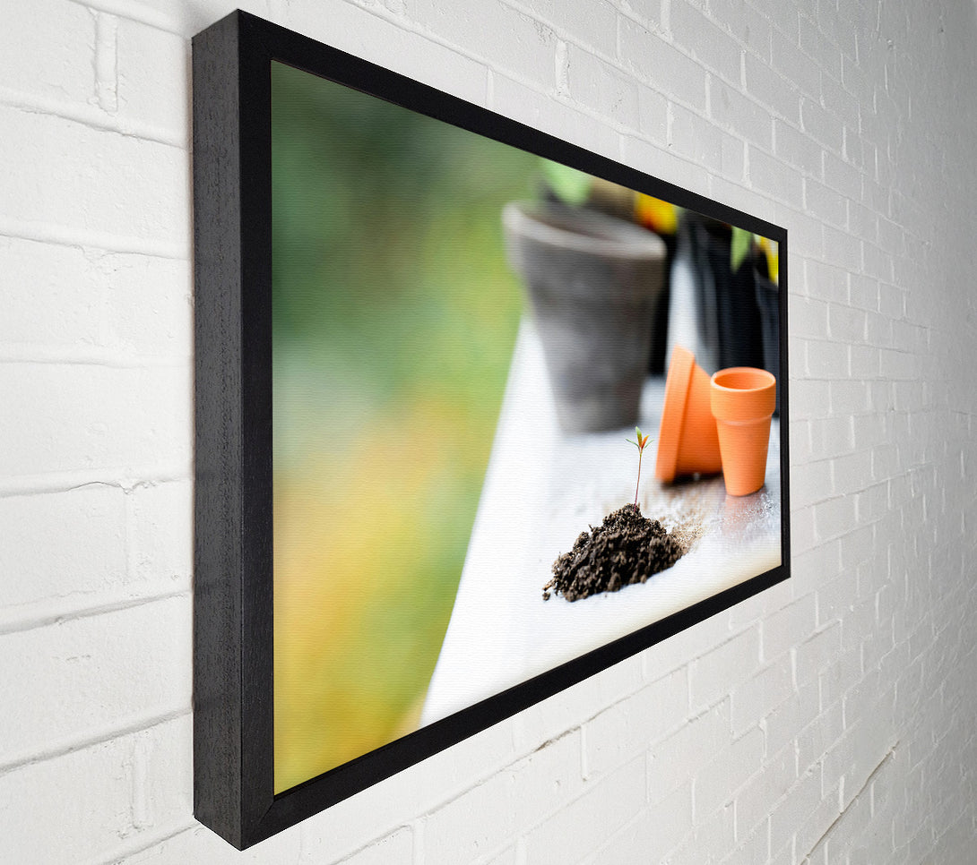  A Canvas Print of Orange Pot Sprout Canvas Wall Art
