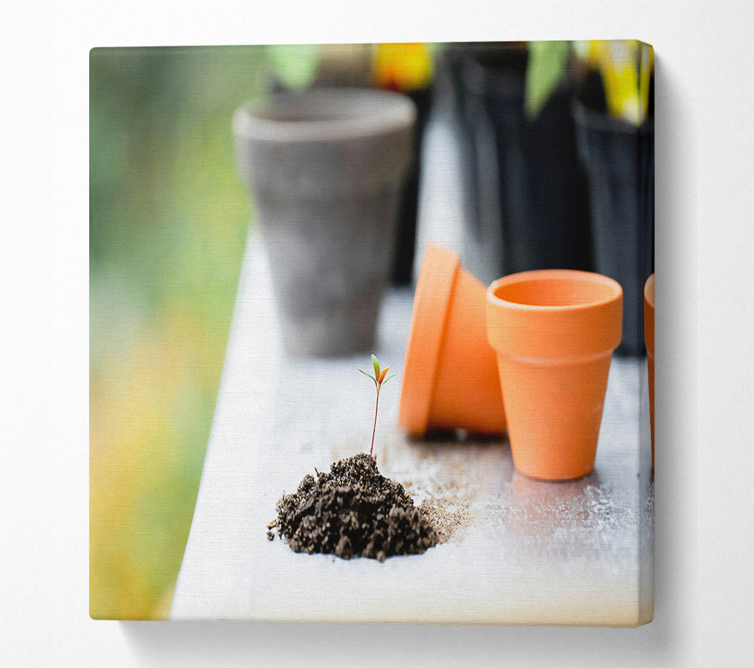 A Canvas Print of Orange Pot Sprout Canvas Wall Art