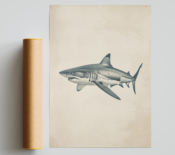 Shark Giclee Print