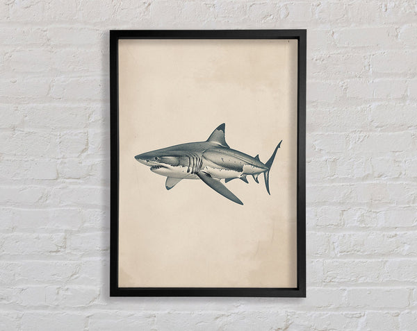 Shark Framed Print