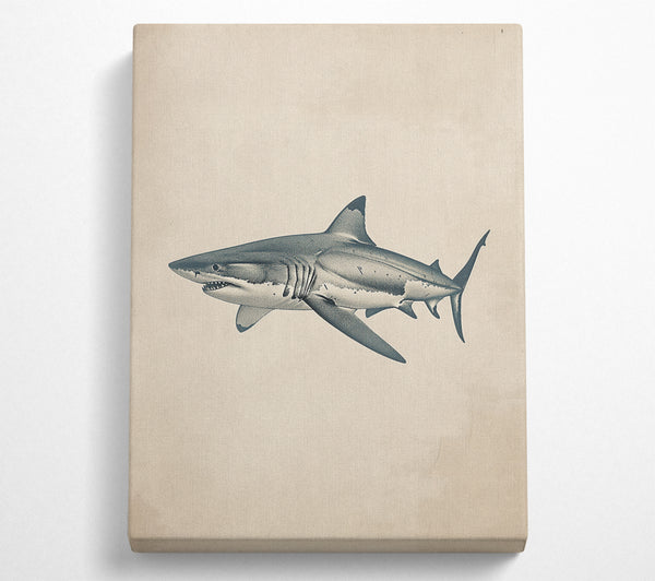  A Canvas Print of Shark Canvas Art