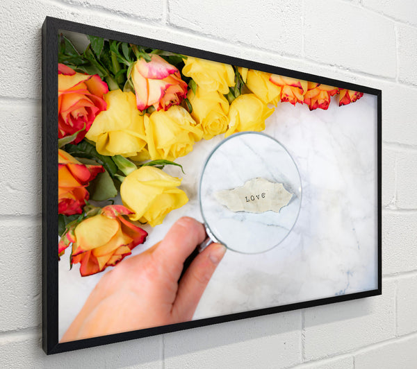 Yellow Rose Love