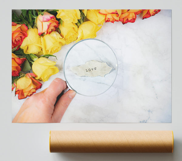 Yellow Rose Love Giclee Print