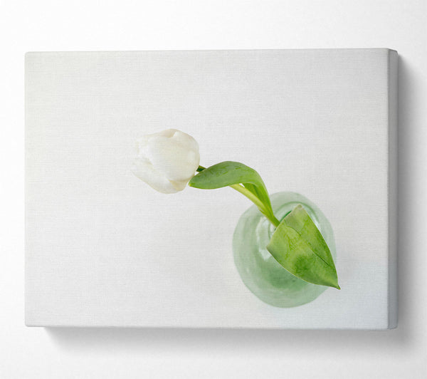  A Canvas Print of White Tulip In Green Vase Canvas Art