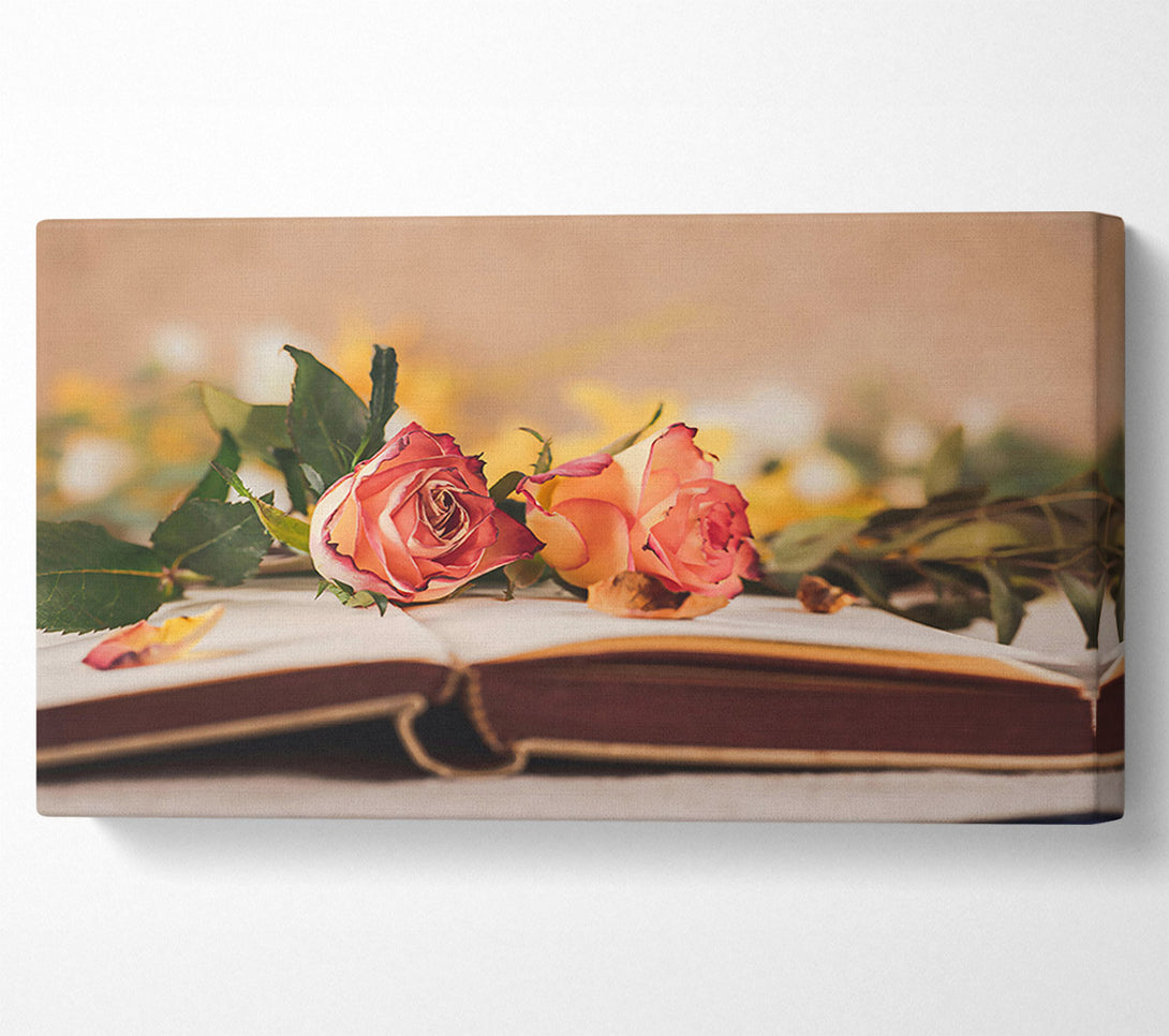  A Canvas Print of Pale Pink Roses On Book Canvas Print