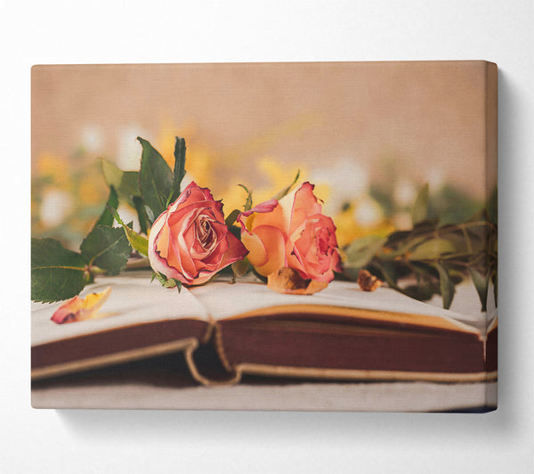  A Canvas Print of Pale Pink Roses On Book Canvas Print