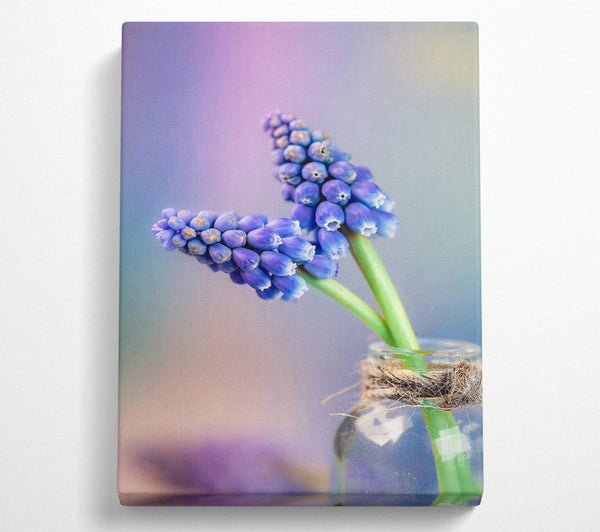  A Canvas Print of Blue Blooms In Glass Canvas Print