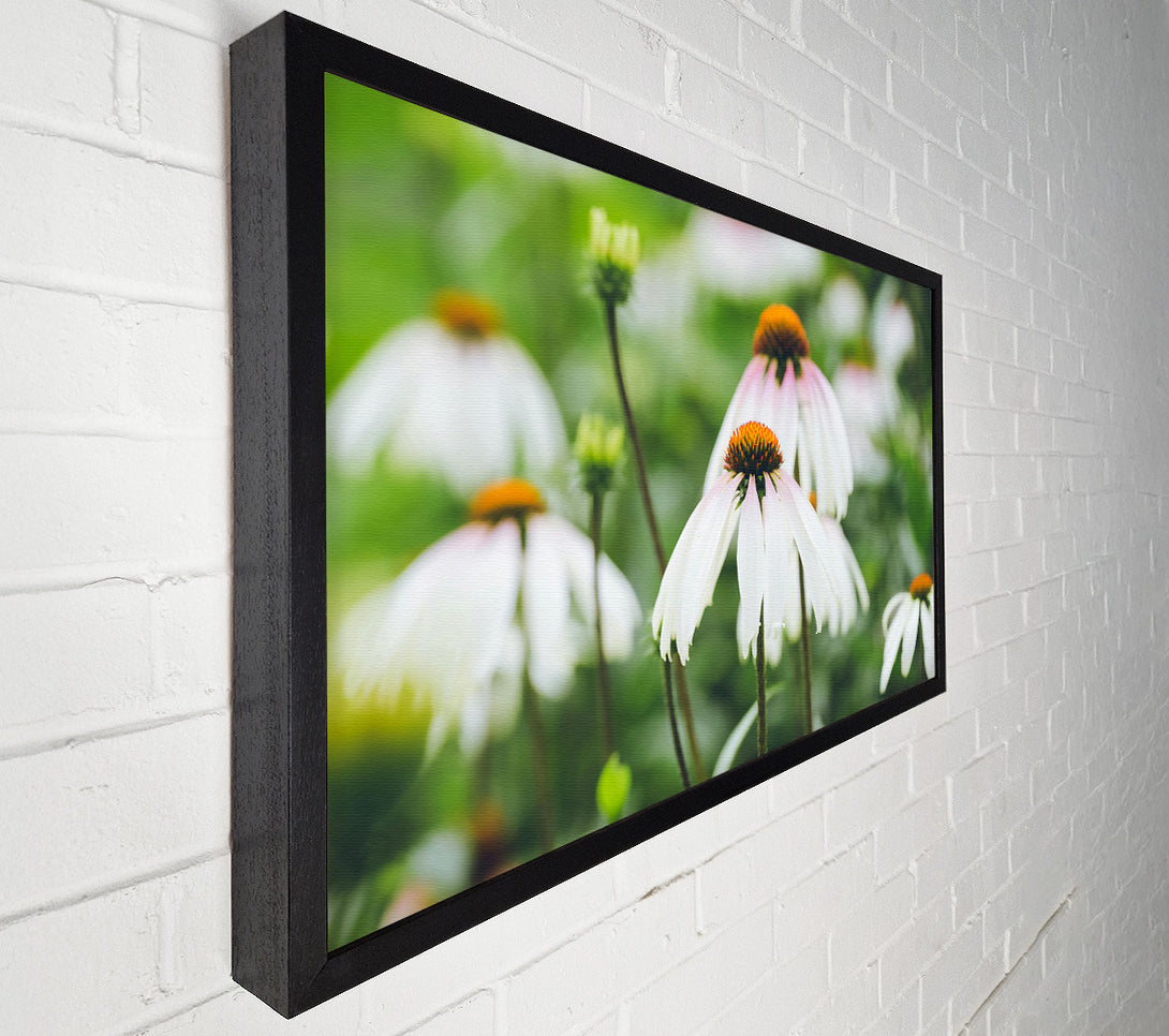 A Canvas Print of White Flowers In Bloom. Canvas Art