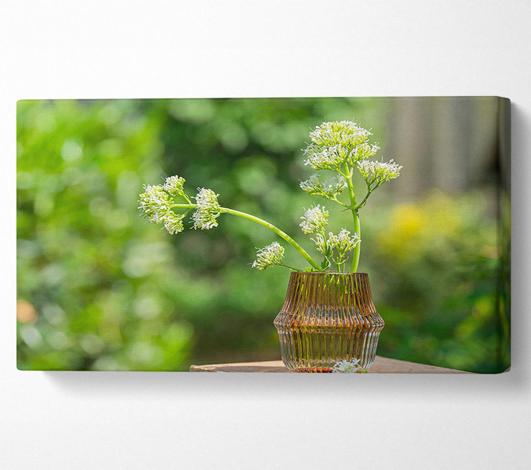  A Canvas Print of Amber Blooms In Sun Canvas Wall Art