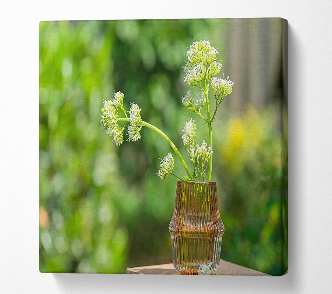  A Canvas Print of Amber Blooms In Sun Canvas Wall Art
