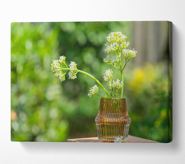  A Canvas Print of Amber Blooms In Sun Canvas Wall Art