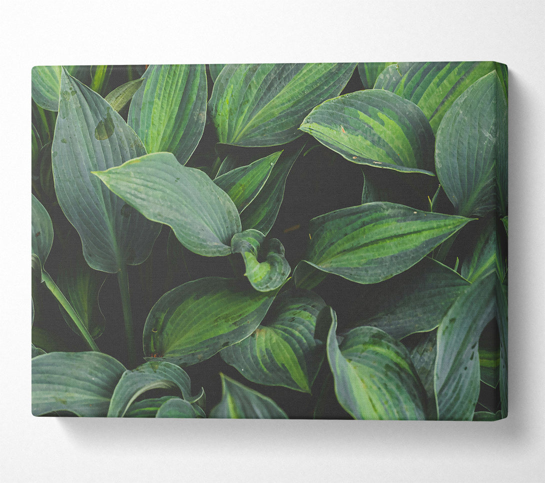  A Canvas Print of Emerald Green Veins Canvas Art