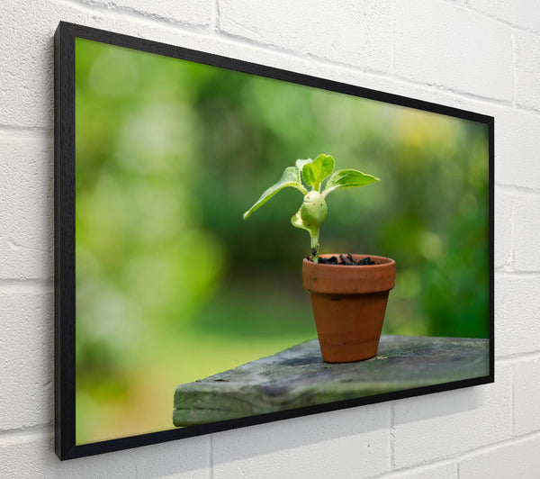 Green Terracotta Life